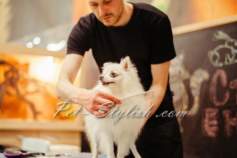 گرومر و پت استایلیست